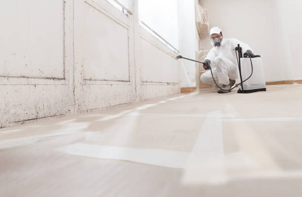 24/7 Emergency Attic Mold Remediation experts in Fairplay, GA