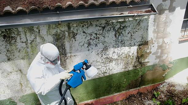Top rated local Attic Mold Remediation specialists in Fairplay, GA